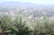 Green Valley